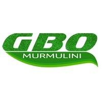 Murmulini