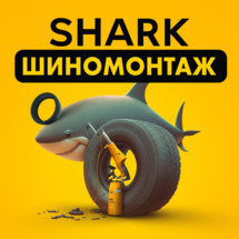 Shark tire fitting